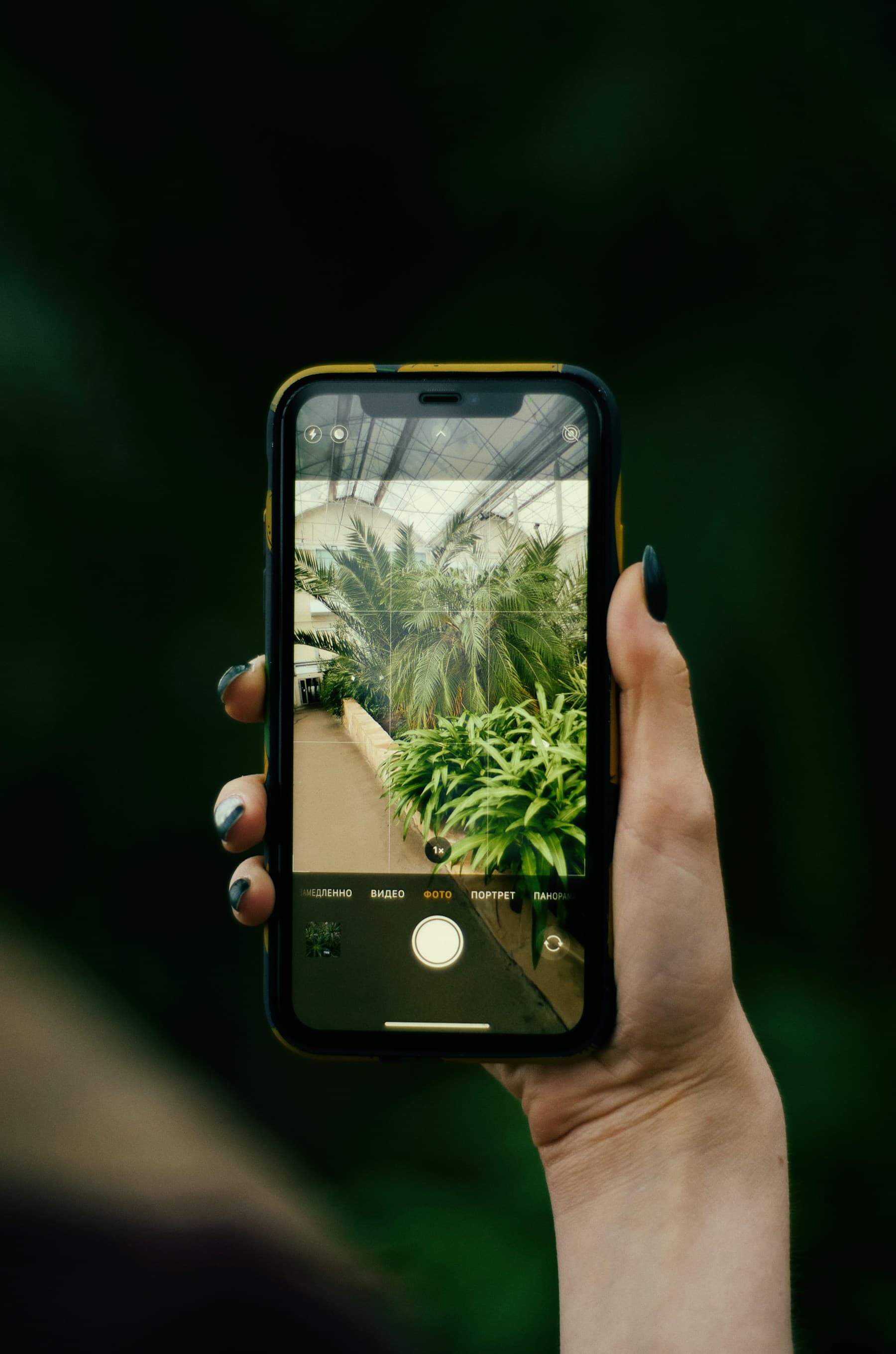 Main tenant un smartphone dont l'écran affiche des plantes tropicales, sur fond vert sombre